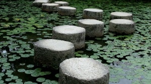 stepping-stones